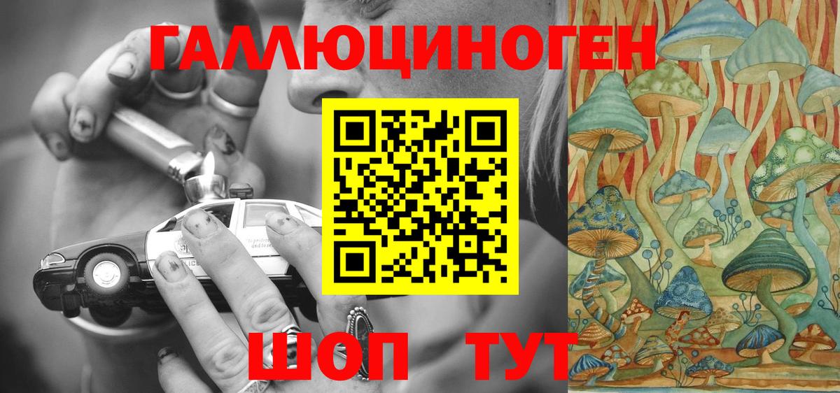 Псилоцибиновые грибы мицелий  Вход с VPN  купить наркоту  Псилоцибиновые грибы Psilocybine cubensis  Азов 