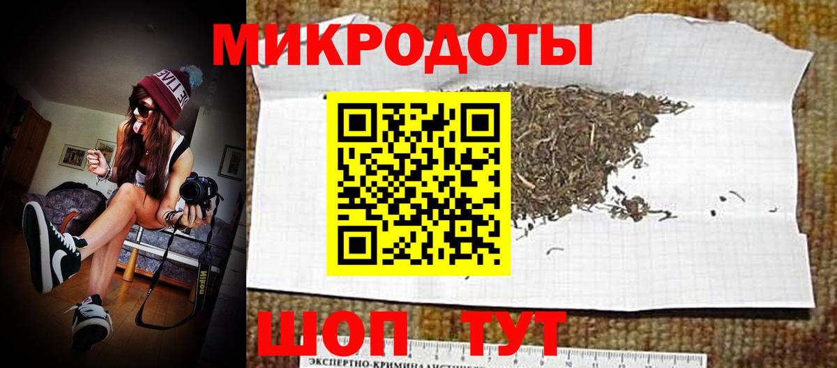 Псилоцибиновые грибы Psilocybine cubensis Азов